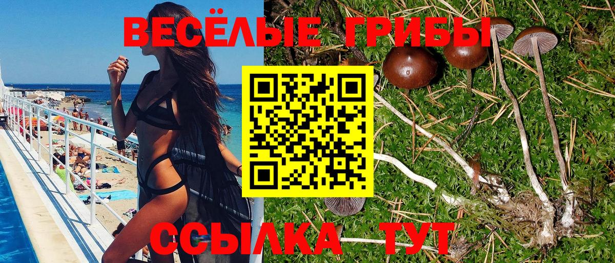 Галлюциногенные грибы ЛСД Кушва