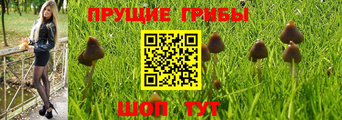 Кушва  Галлюциногенные грибы ЛСД  Псилоцибиновые грибы мицелий  Вход с VPN 