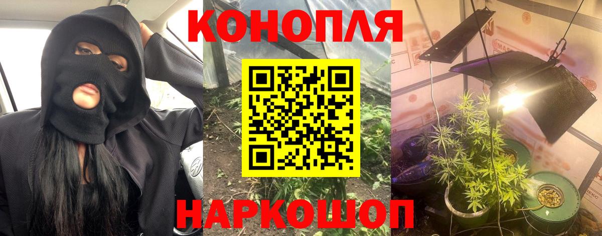 Бошки марихуана марихуана  Вход с VPN  Конопля AK-47  Кушва  Бошки Шишки Amnesia 